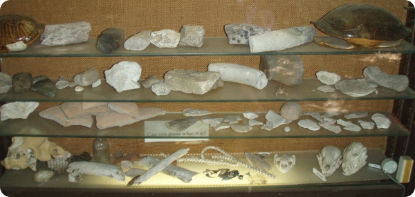 Artifacts and fossils found at Devil's Millhopper