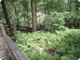 Devil's Millhopper Sinkhole Steps