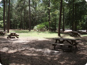 Devil's Millhopper Picnic Area