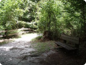 Devil's Millhopper Trail