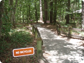 Trailhead at Devil's Millhopper