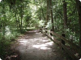 Devil's Millhopper Trails